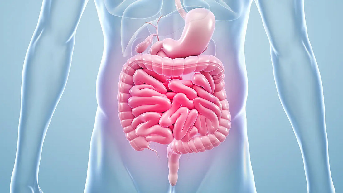 what is poor gut health