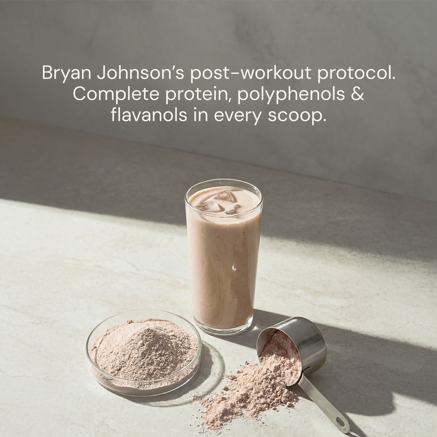 Longevity Protein - Chocolate  RECOVERY • FOCUS • VITALITY