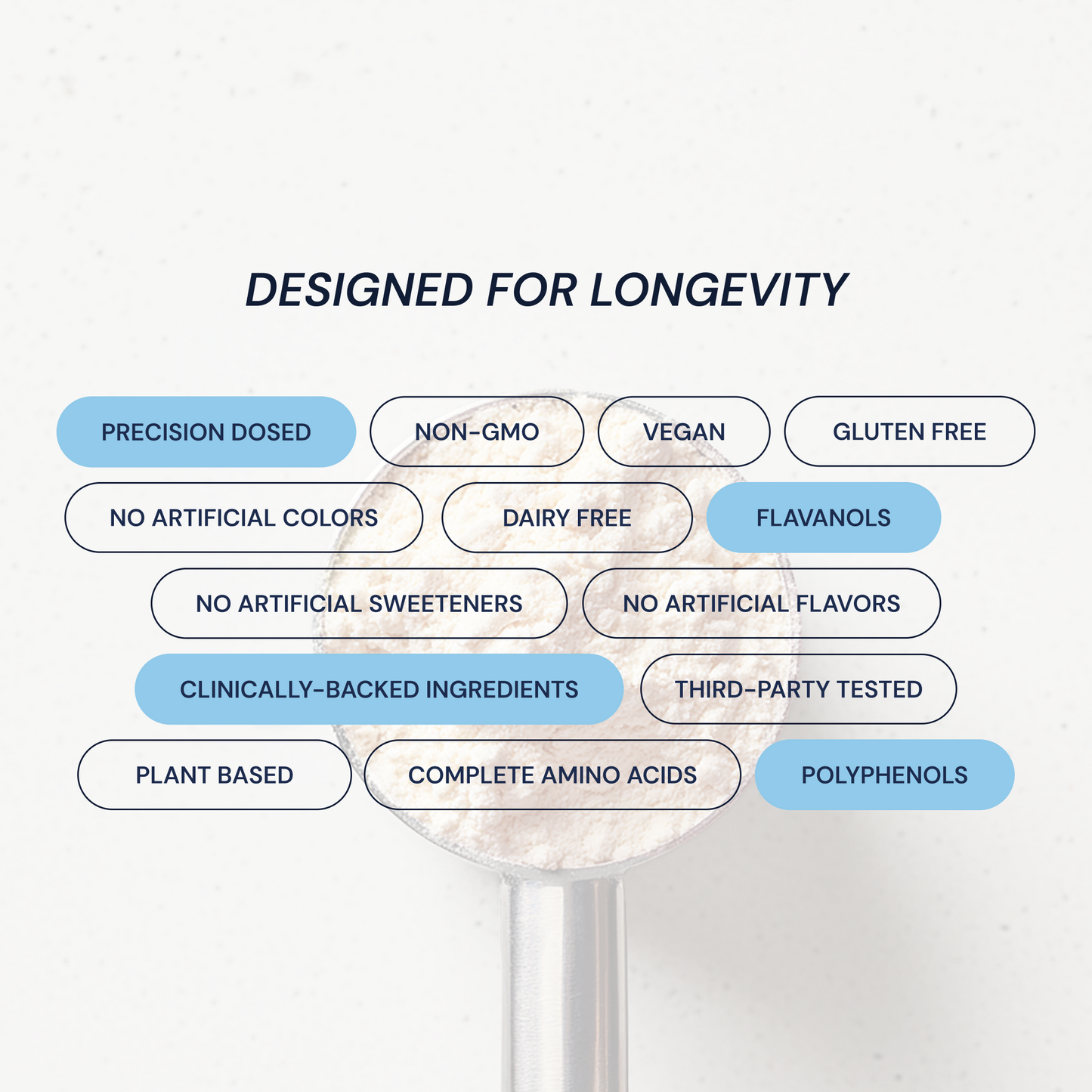 Longevity Protein - Chocolate  RECOVERY • FOCUS • VITALITY