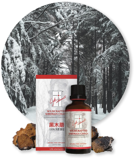 Chaga Extract